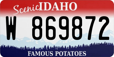 ID license plate W869872