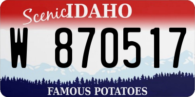 ID license plate W870517