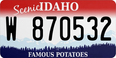 ID license plate W870532