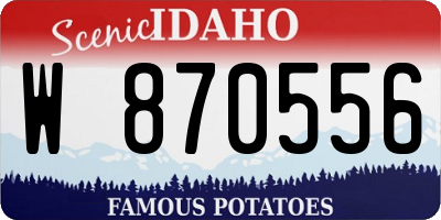 ID license plate W870556