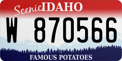 ID license plate W870566