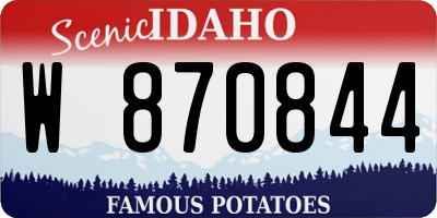 ID license plate W870844