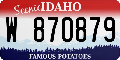 ID license plate W870879