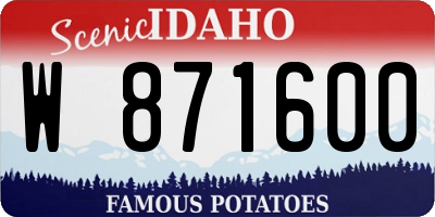ID license plate W871600