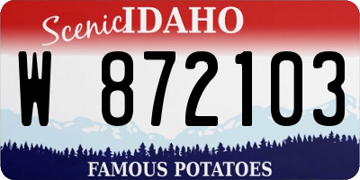 ID license plate W872103