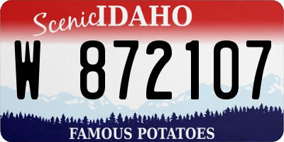 ID license plate W872107