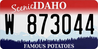 ID license plate W873044