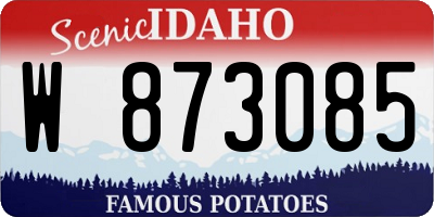 ID license plate W873085