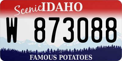 ID license plate W873088