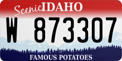 ID license plate W873307