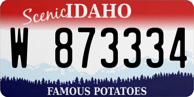 ID license plate W873334