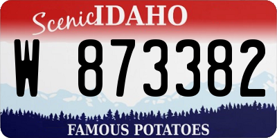ID license plate W873382