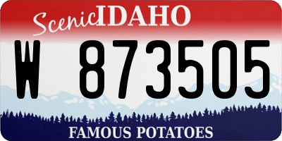 ID license plate W873505