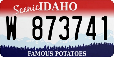 ID license plate W873741