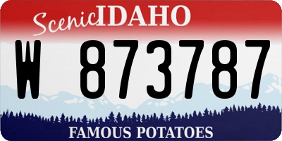 ID license plate W873787