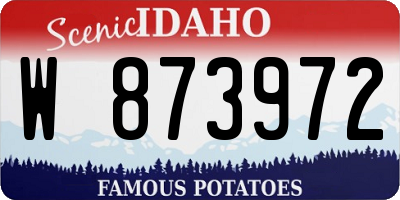 ID license plate W873972