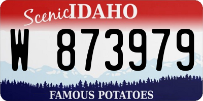 ID license plate W873979