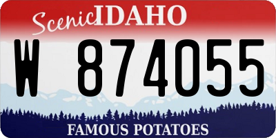 ID license plate W874055