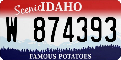 ID license plate W874393