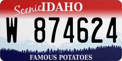 ID license plate W874624