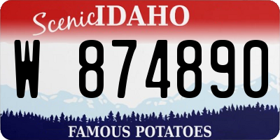 ID license plate W874890