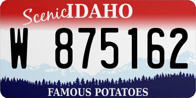 ID license plate W875162