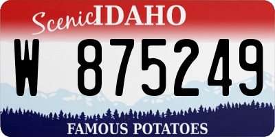 ID license plate W875249