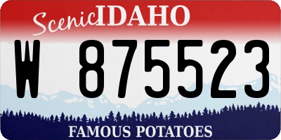 ID license plate W875523