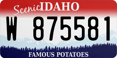 ID license plate W875581