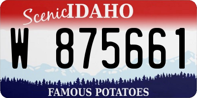 ID license plate W875661
