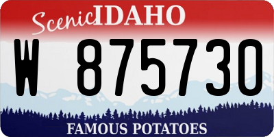 ID license plate W875730