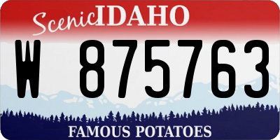 ID license plate W875763