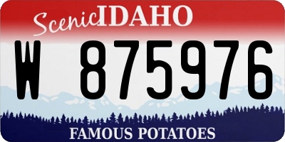 ID license plate W875976