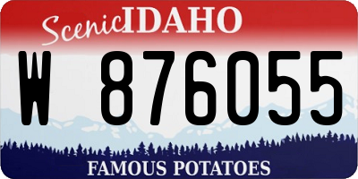 ID license plate W876055