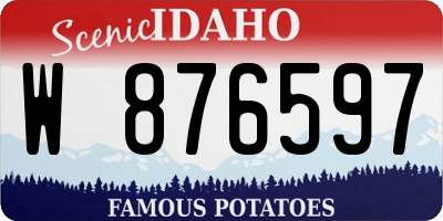 ID license plate W876597