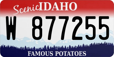 ID license plate W877255