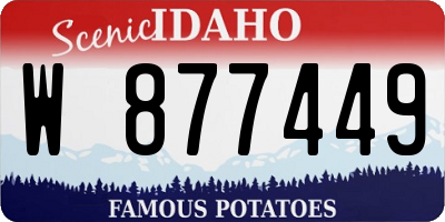 ID license plate W877449
