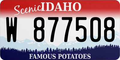 ID license plate W877508