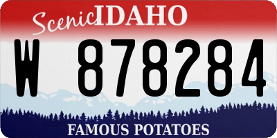 ID license plate W878284