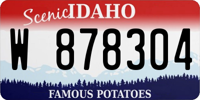 ID license plate W878304