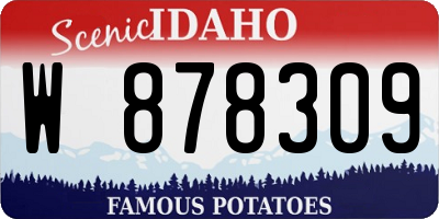 ID license plate W878309