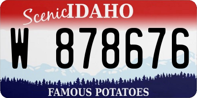 ID license plate W878676