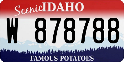 ID license plate W878788