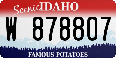 ID license plate W878807