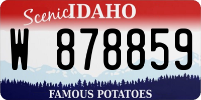 ID license plate W878859