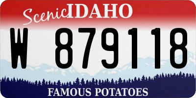ID license plate W879118