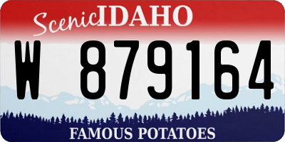 ID license plate W879164