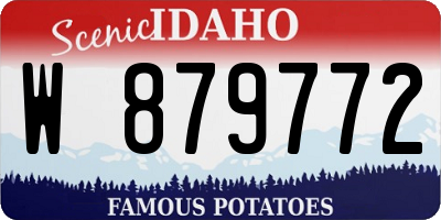 ID license plate W879772