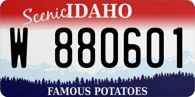 ID license plate W880601