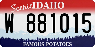 ID license plate W881015
